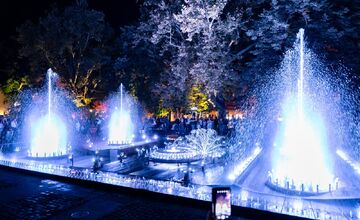 FOTO: Nestihli ste nočnú šou na Spievajúcej fontáne? Z tej nádhery vám padne sánka