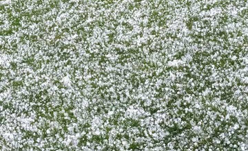 Silné búrky dorazili na Spiš