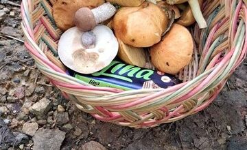 FOTO: Hubárom v okolí Košíc praje počasie 