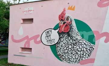 FOTO: Budovy na KVP a v Myslave ožili streetartovým umením