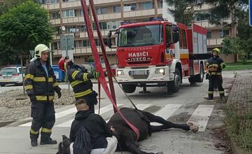 FOTO: Hasiči ratovali koňa v Moldave nad Bodvou
