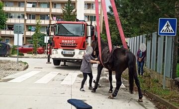 FOTO: Hasiči ratovali koňa v Moldave nad Bodvou