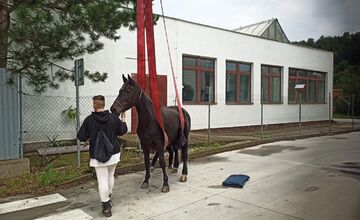 FOTO: Hasiči ratovali koňa v Moldave nad Bodvou