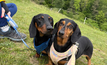 FOTO: Tento víkend sa môžete tešiť na bohatú paletu podujatí