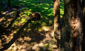 FOTO: Novinky v košickej zoo