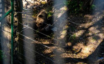 FOTO: Novinky v košickej zoo