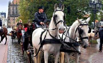 FOTO: Košicami viedol sprievod koní v rámci Hubertovej jazdy