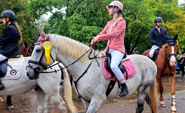 FOTO: Košicami viedol sprievod koní v rámci Hubertovej jazdy