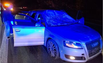 FOTO: Zrážka auta s losom za Košickou Novou Vsou