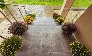 FOTO: Obecný úrad v Zalužiciach zdobia chryzantémy, ktoré darovala rodina