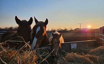 FOTO: Jesenné prázdniny v Košickom kraji