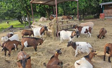 FOTO: Jesenné prázdniny v Košickom kraji