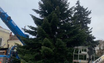 FOTO: Do Michaloviec dorazil vianočný stromček