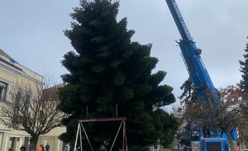 FOTO: Do Michaloviec dorazil vianočný stromček