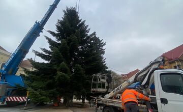 FOTO: Do Michaloviec dorazil vianočný stromček