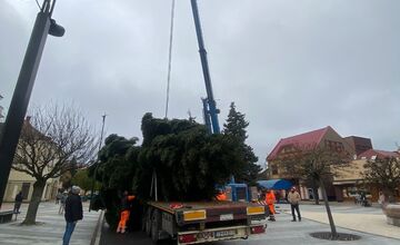FOTO: Do Michaloviec dorazil vianočný stromček