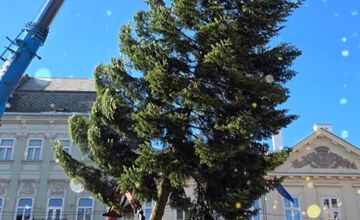 FOTO: V Košiciach už stoja prvé vianočné stromčeky