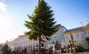 FOTO: V Košiciach už stoja prvé vianočné stromčeky