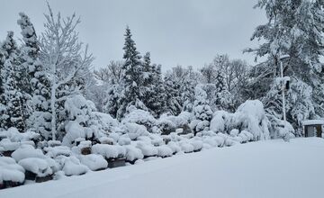 FOTO: Situácia na košickom Krematóriu