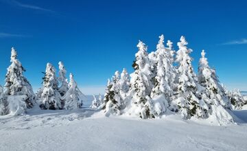FOTO: Slováci zdieľajú zimné turistické skvosty