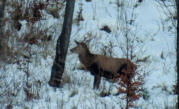 FOTO: Slováci zdieľajú zimné turistické skvosty