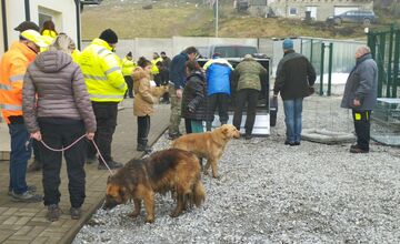 FOTO: V Markušovciach odchytávali a očkovali túlavé psy