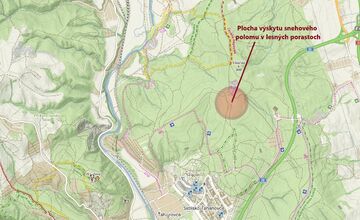 FOTO: Padnuté stromy v Ťahanovskom lese môžu ohroziť návštevníkov