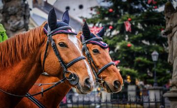 FOTO: Na košických vianočných trhoch hliadkujú policajti