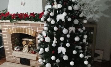 FOTO: Vianočné stromčeky našich čitateľov