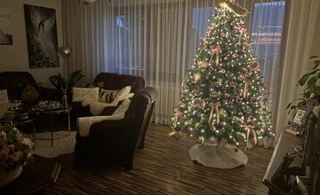 FOTO: Vianočné stromčeky našich čitateľov