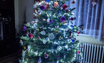 FOTO: Vianočné stromčeky našich čitateľov