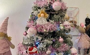 FOTO: Vianočné stromčeky našich čitateľov