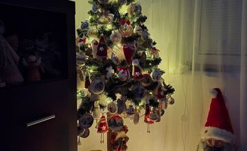 FOTO: Vianočné stromčeky našich čitateľov