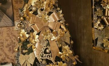 FOTO: Vianočné stromčeky našich čitateľov