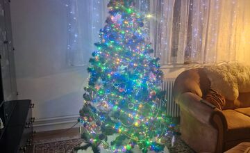 FOTO: Vianočné stromčeky našich čitateľov