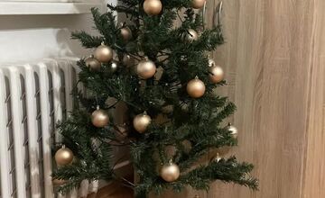 FOTO: Vianočné stromčeky našich čitateľov