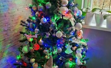 FOTO: Vianočné stromčeky našich čitateľov