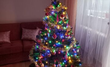 FOTO: Vianočné stromčeky našich čitateľov