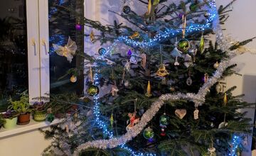 FOTO: Vianočné stromčeky našich čitateľov