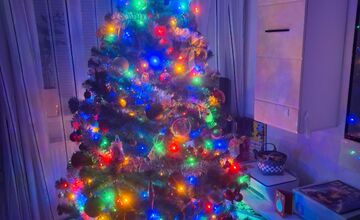 FOTO: Vianočné stromčeky našich čitateľov