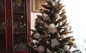 FOTO: Vianočné stromčeky našich čitateľov