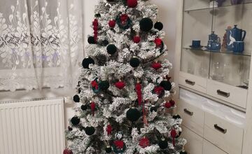 FOTO: Vianočné stromčeky našich čitateľov