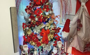 FOTO: Vianočné stromčeky našich čitateľov