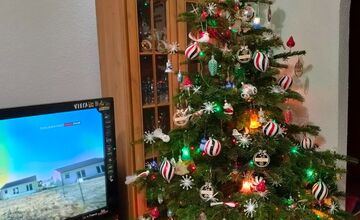 FOTO: Vianočné stromčeky našich čitateľov