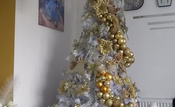 FOTO: Vianočné stromčeky našich čitateľov