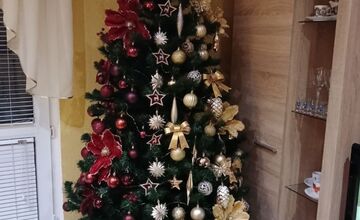 FOTO: Vianočné stromčeky našich čitateľov