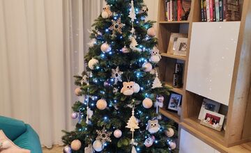 FOTO: Vianočné stromčeky našich čitateľov