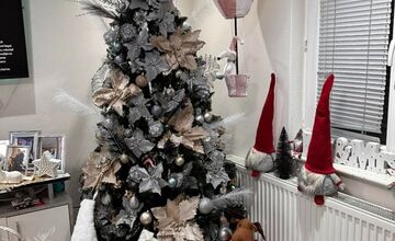 FOTO: Vianočné stromčeky našich čitateľov