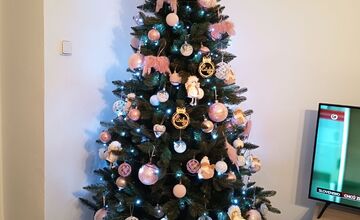 FOTO: Vianočné stromčeky našich čitateľov