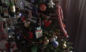 FOTO: Vianočné stromčeky našich čitateľov